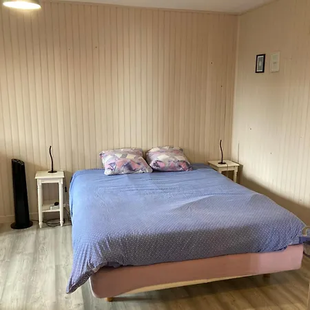 500m Du Cormier 15 Min Du Puy Du Fou Appartamento Cholet